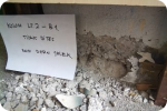 SAR DESIGN BUILD - Investigasi Struktur Bangunan Gedung "Destructive Test"